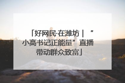 好网民·在潍坊｜“小高书记正能量”直播 带动群众致富